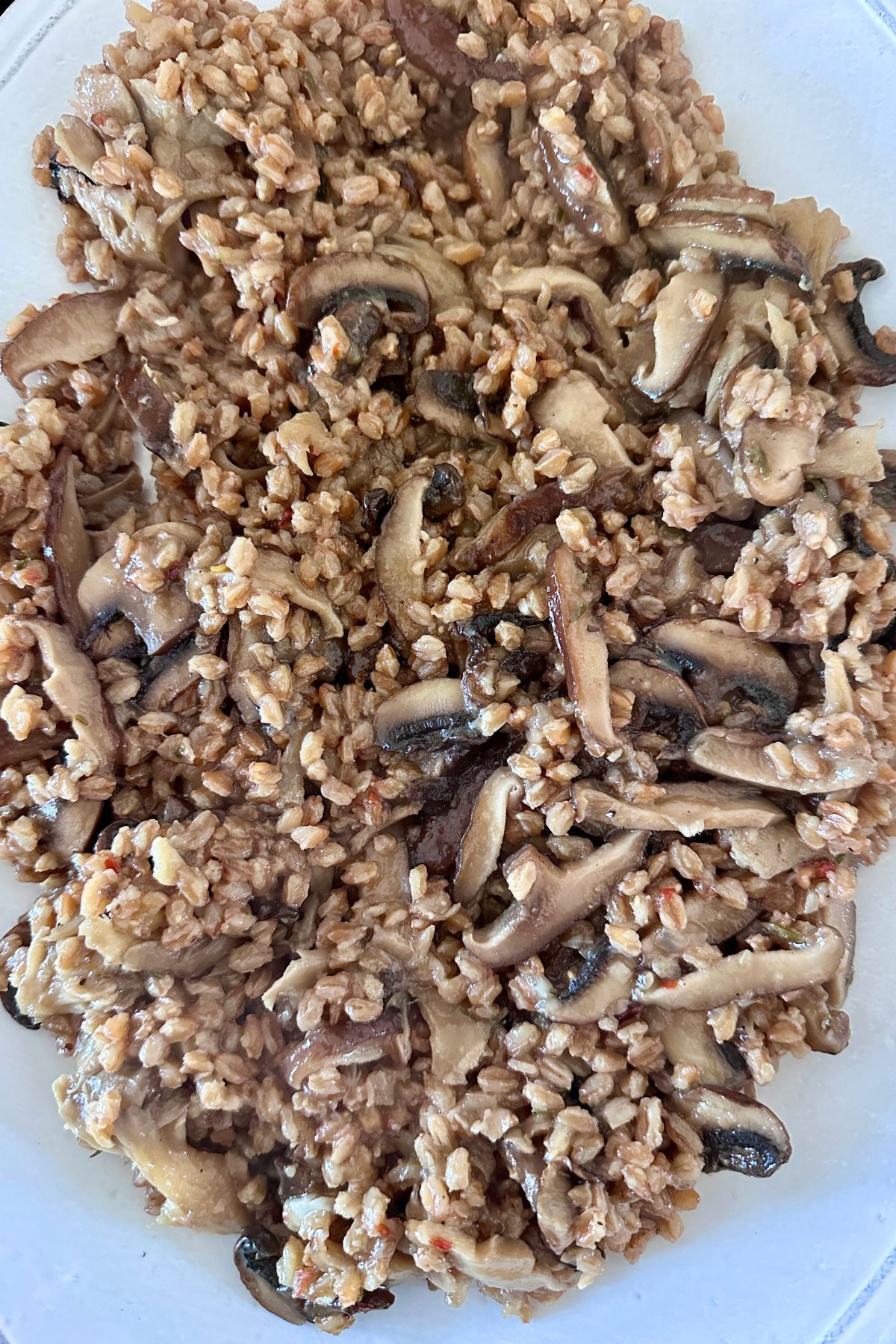 Close-up of mushroom farro on a white serving dish. 