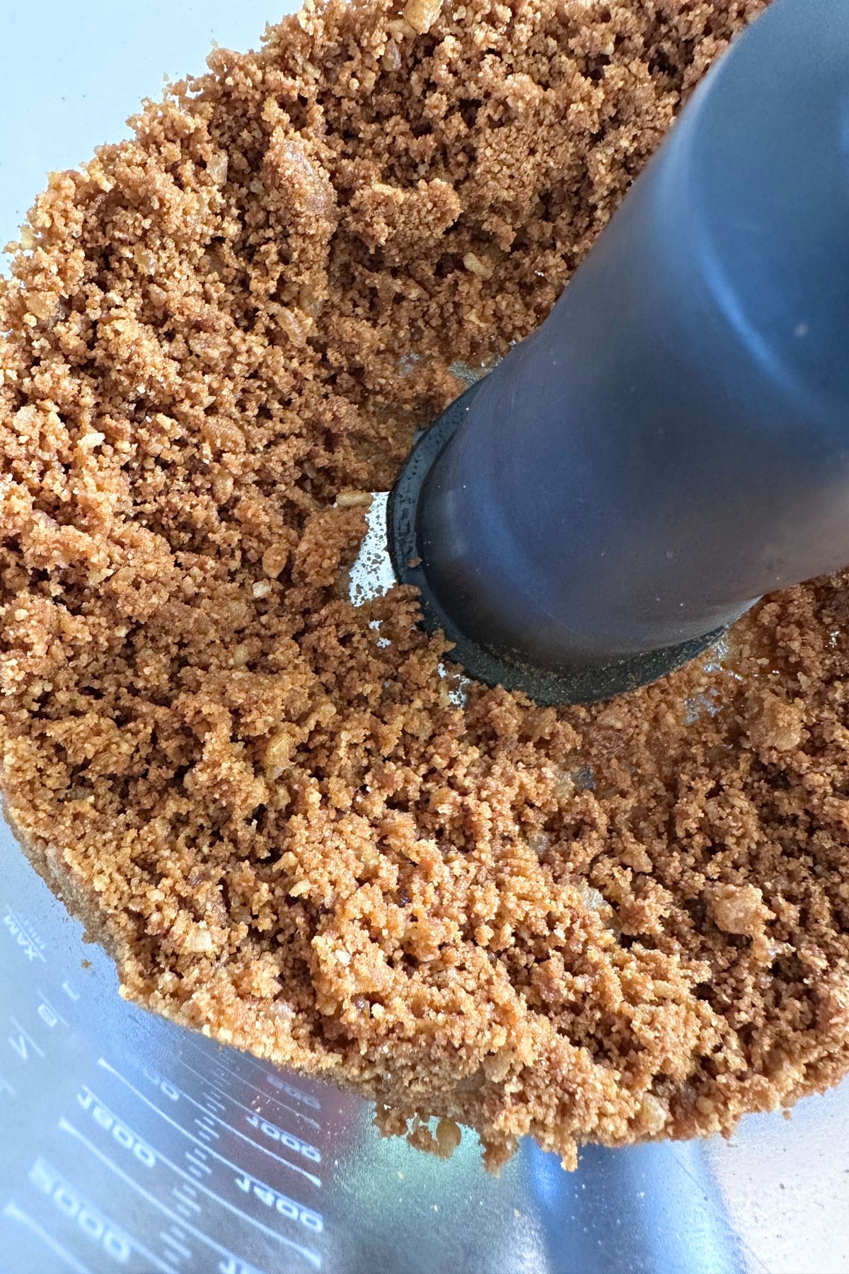 Finely crushed gingersnap cookies in a food processor.