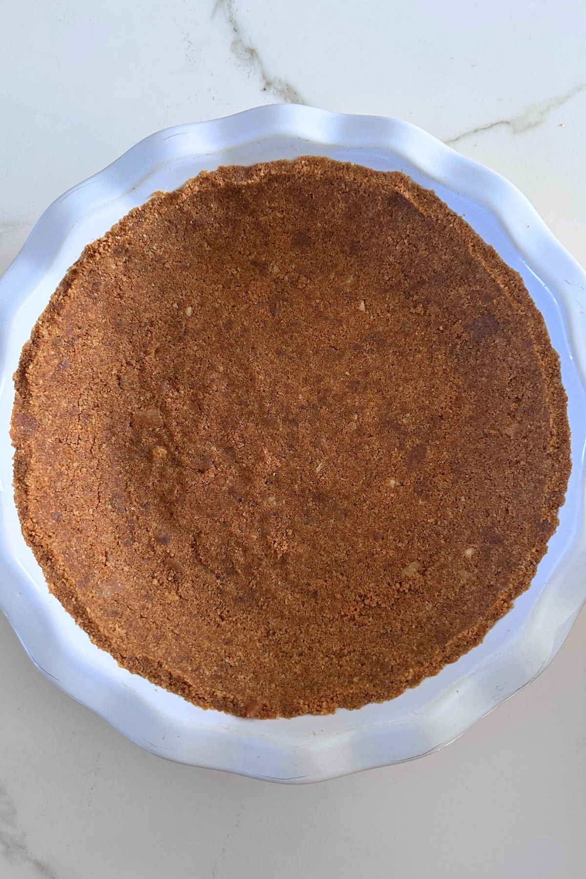 Gingersnap pie mixture in a 9-inch pie plate spread evenly along the bottom. 