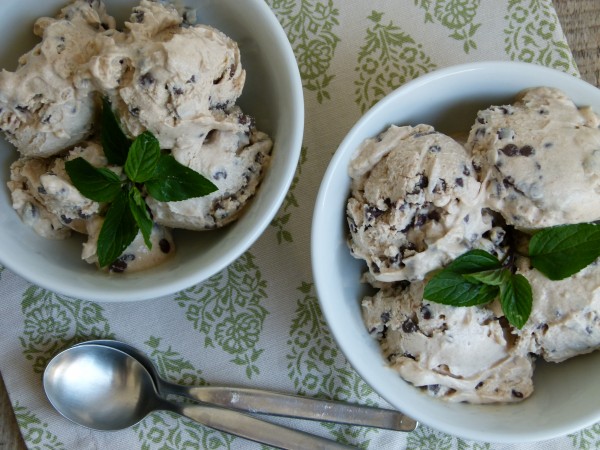 dairy-free mint chip ice "cream" | pamela salzman