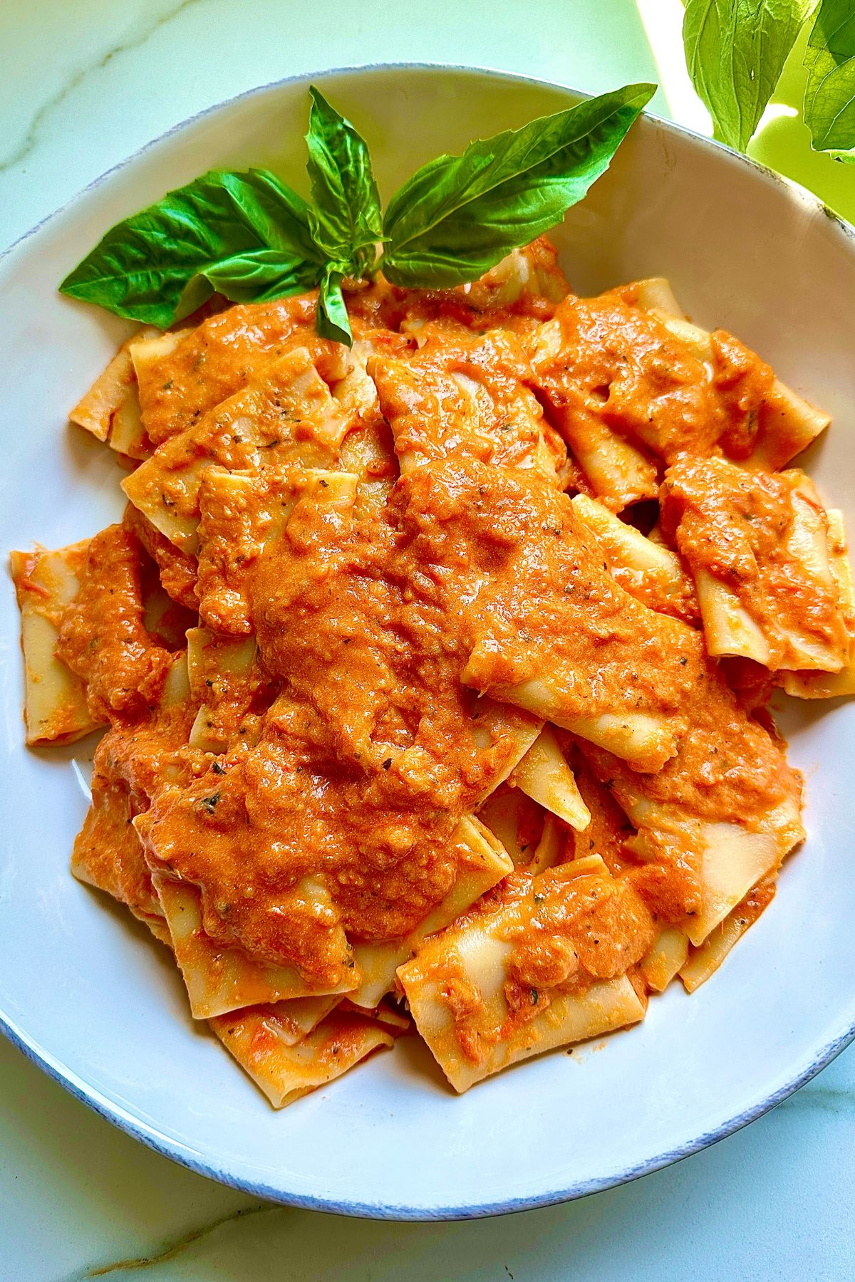 a large serving platter with roasted tomato pasta topped with a sprig of basil. 